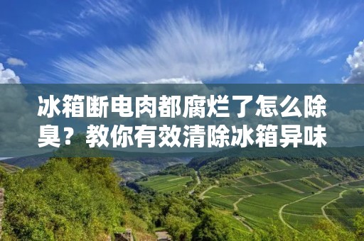 冰箱断电肉都腐烂了怎么除臭？教你有效清除冰箱异味！
