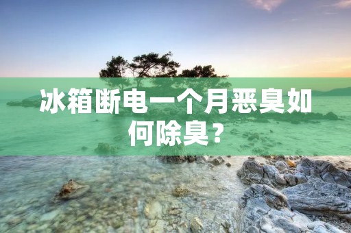 冰箱断电一个月恶臭如何除臭？