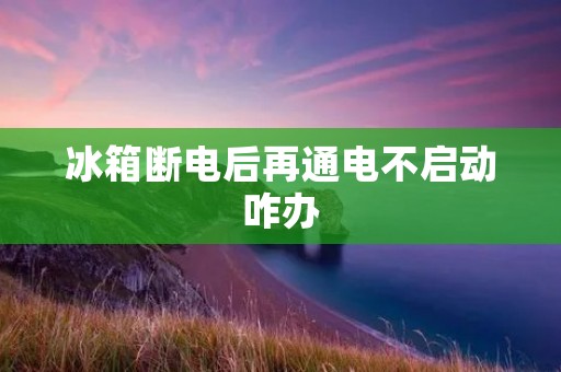 冰箱断电后再通电不启动咋办