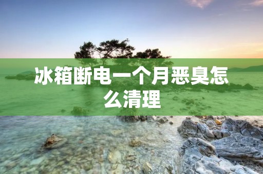 冰箱断电一个月恶臭怎么清理 冰箱断电一个月恶臭怎么清理
