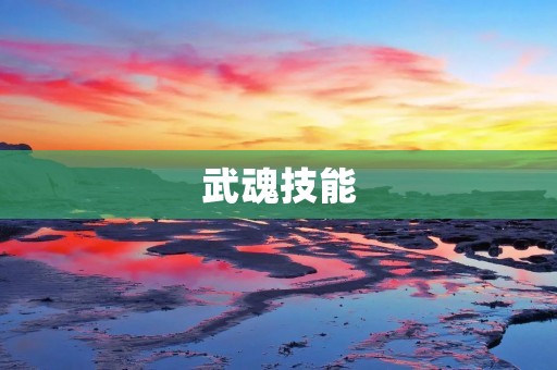 武魂技能:唤醒你内心深处的战斗本能 武魂技能:唤醒你内心深处的战斗本能