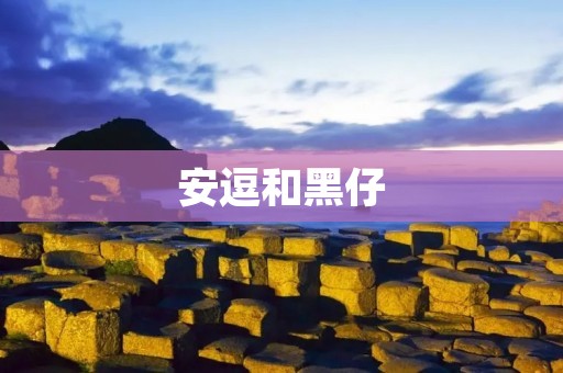 安逗和黑仔:探寻网络文化的双面性 安逗和黑仔:探寻网络文化的双面性
