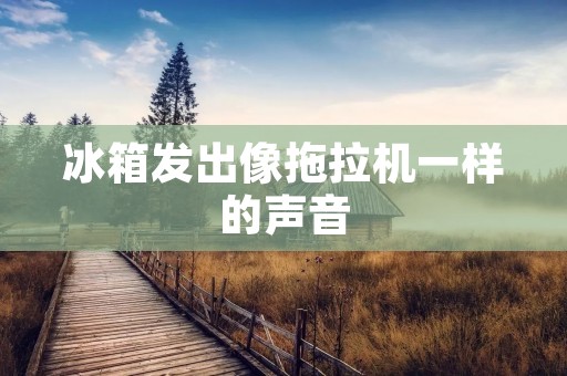 冰箱发出像拖拉机一样的声音