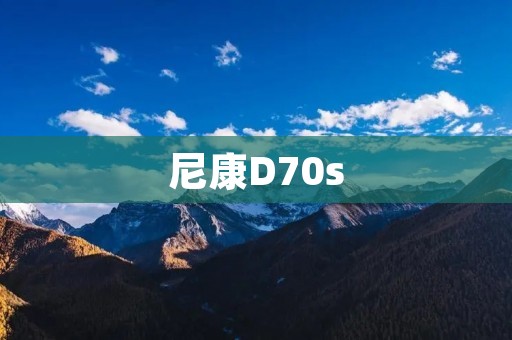 尼康D70s:一款经典的数码单反相机 尼康D70s:一款经典的数码单反相机