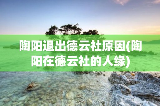 陶阳退出德云社原因(陶阳在德云社的人缘)