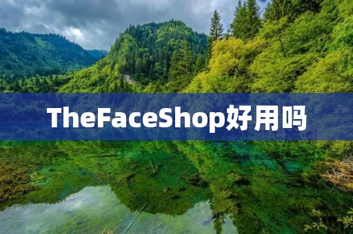 TheFaceShop好用吗