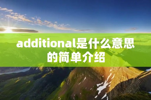 additional是什么意思的简单介绍