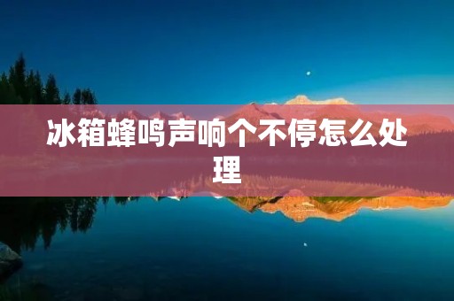 冰箱蜂鸣声响个不停怎么处理