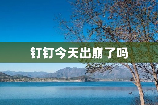 钉钉今天出崩了吗