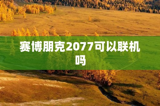赛博朋克2077可以联机吗