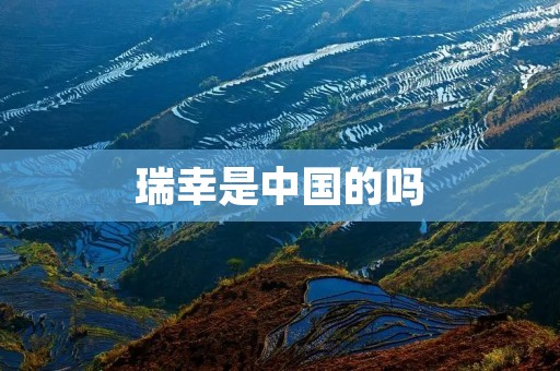 瑞幸是中国的吗