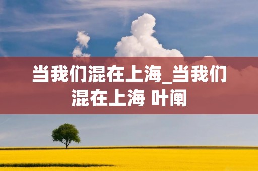 当我们混在上海_当我们混在上海 叶阐