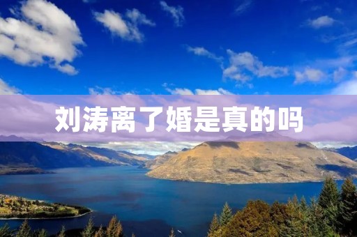 刘涛离了婚是真的吗