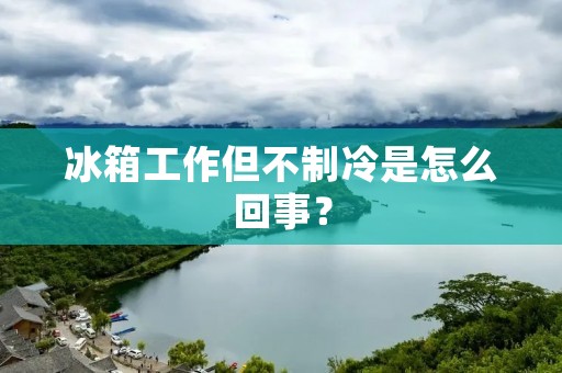 冰箱工作但不制冷是怎么回事？