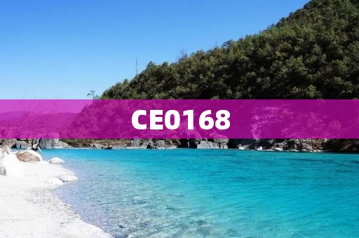 CE0168:一款功能强大的智能设备 CE0168:一款功能强大的智能设备