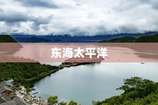 东海太平洋:探秘亚洲最大的海洋生态系统 东海太平洋:探秘亚洲最大的海洋生态系统