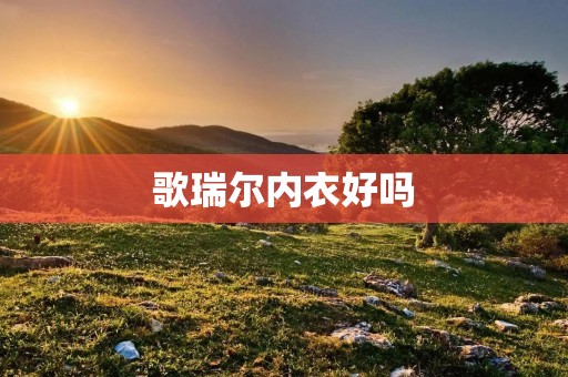 歌瑞尔内衣好吗