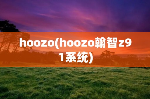 hoozo(hoozo翰智z91系统) hoozo(hoozo翰智z91系统)