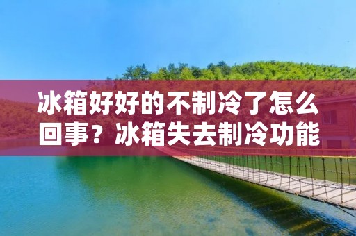 冰箱好好的不制冷了怎么回事?冰箱失去制冷功能的原因及解决方法 冰箱好好的不制冷了怎么回事?冰箱失去制冷功能的原因及解决方法