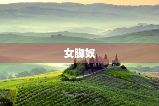 女脚奴 女脚奴