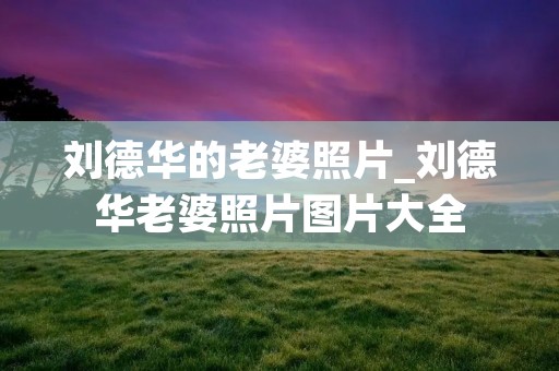 刘德华的老婆照片_刘德华老婆照片图片大全 刘德华的老婆照片_刘德华老婆照片图片大全