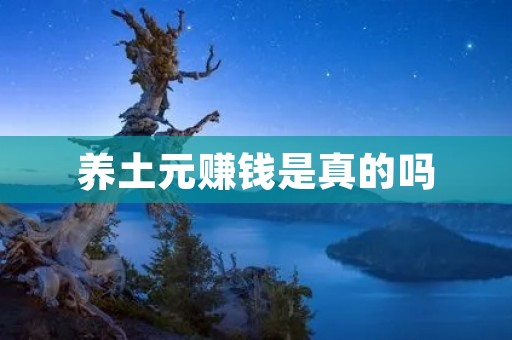 养土元赚钱是真的吗 养土元赚钱是真的吗