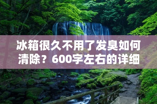 冰箱很久不用了发臭如何清除？600字左右的详细描述：