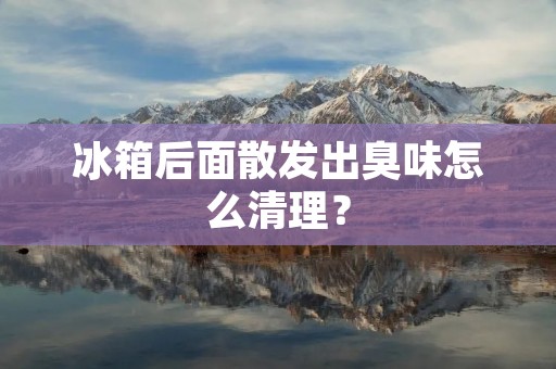 冰箱后面散发出臭味怎么清理？