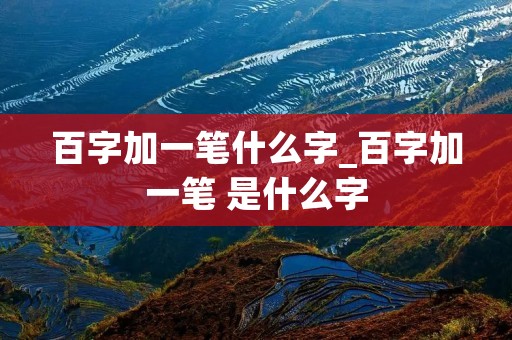 百字加一笔什么字_百字加一笔 是什么字
