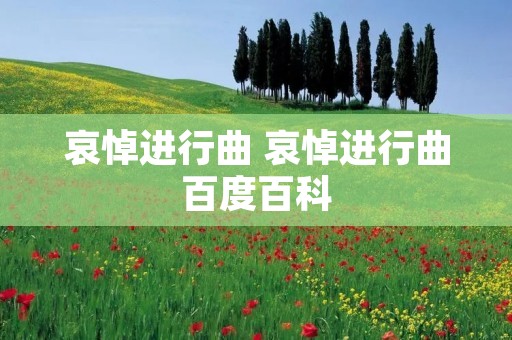 哀悼进行曲 哀悼进行曲百度百科