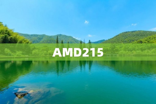 AMD215:一款引领高性能计算的新一代处理器 AMD215:一款引领高性能计算的新一代处理器