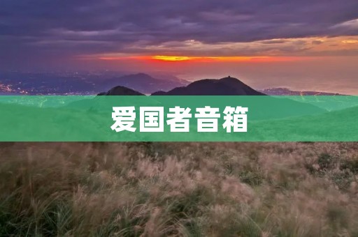 爱国者音箱:打造你的私人音乐空间 爱国者音箱:打造你的私人音乐空间