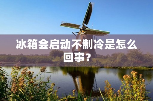冰箱会启动不制冷是怎么回事? 冰箱会启动不制冷是怎么回事?