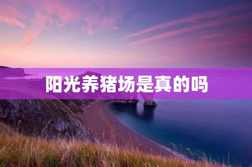 阳光养猪场是真的吗 阳光养猪场是真的吗