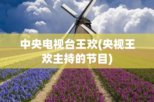 中央电视台王欢(央视王欢主持的节目) 中央电视台王欢(央视王欢主持的节目)