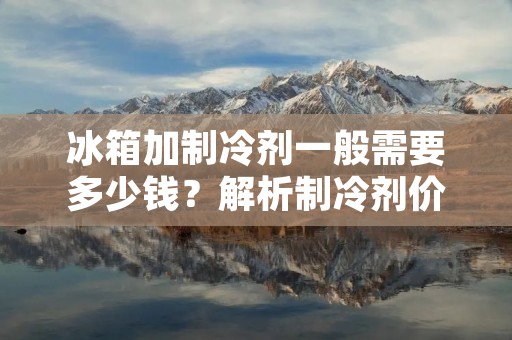 冰箱加制冷剂一般需要多少钱？解析制冷剂价格与使用成本