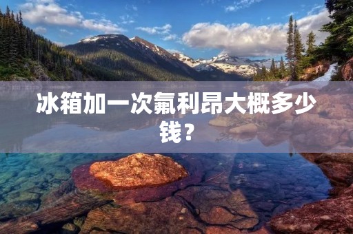 冰箱加一次氟利昂大概多少钱? 冰箱加一次氟利昂大概多少钱?