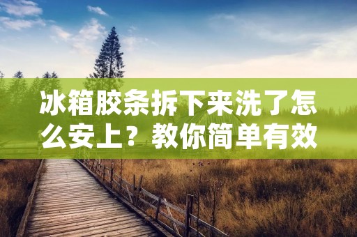 冰箱胶条拆下来洗了怎么安上？教你简单有效的安装方法