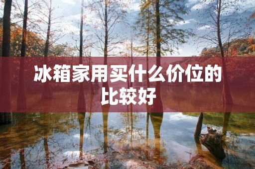 冰箱家用买什么价位的比较好 冰箱家用买什么价位的比较好