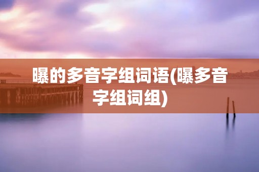 曝的多音字组词语(曝多音字组词组)