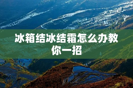 冰箱结冰结霜怎么办教你一招 冰箱结冰结霜怎么办教你一招