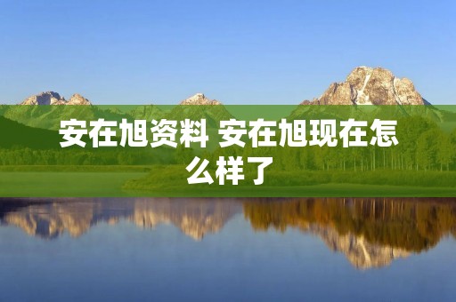 安在旭资料 安在旭现在怎么样了