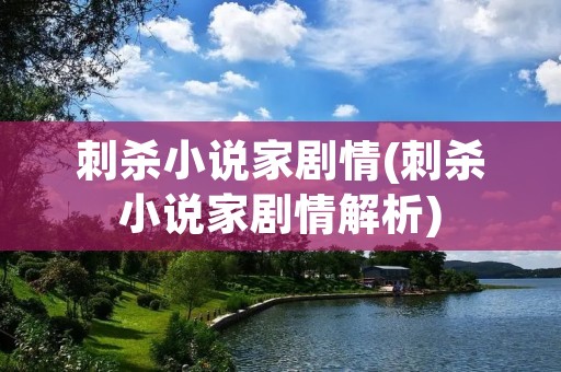 刺杀小说家剧情(刺杀小说家剧情解析)