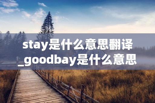 stay是什么意思翻译_goodbay是什么意思翻译 stay是什么意思翻译_goodbay是什么意思翻译