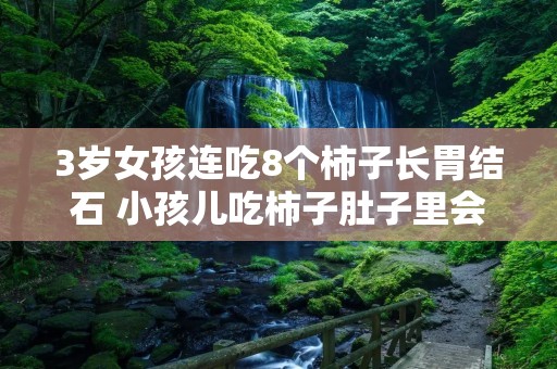3岁女孩连吃8个柿子长胃结石 小孩儿吃柿子肚子里会长石头吗?