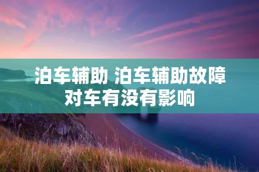 泊车辅助 泊车辅助故障对车有没有影响