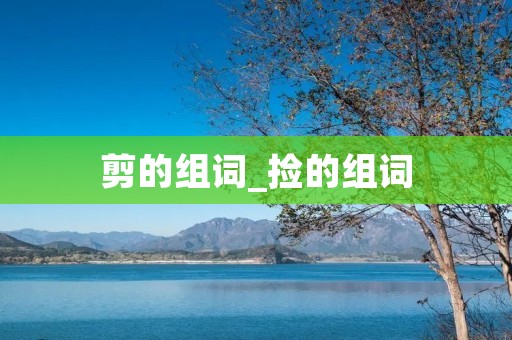 剪的组词_捡的组词