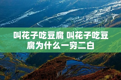 叫花子吃豆腐 叫花子吃豆腐为什么一穷二白