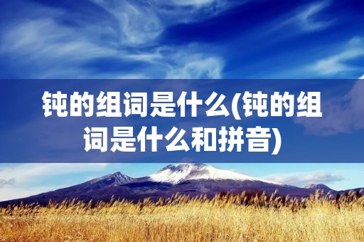 钝的组词是什么(钝的组词是什么和拼音)