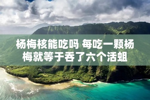 杨梅核能吃吗 每吃一颗杨梅就等于吞了六个活蛆